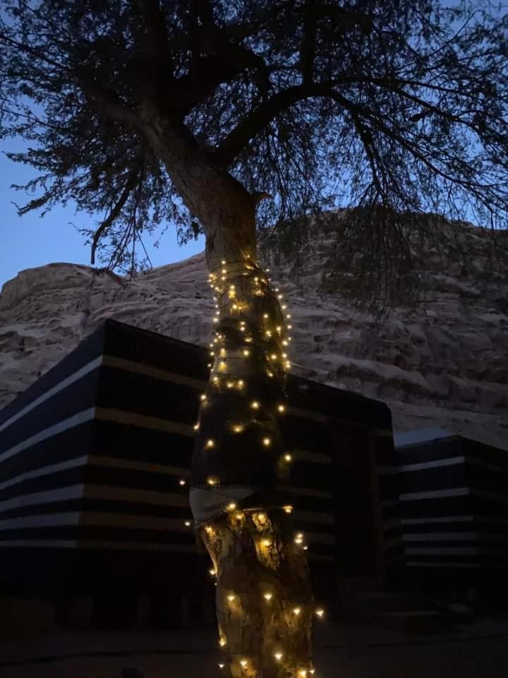 Shahrazad Desert, Wadi Rum Exterior foto